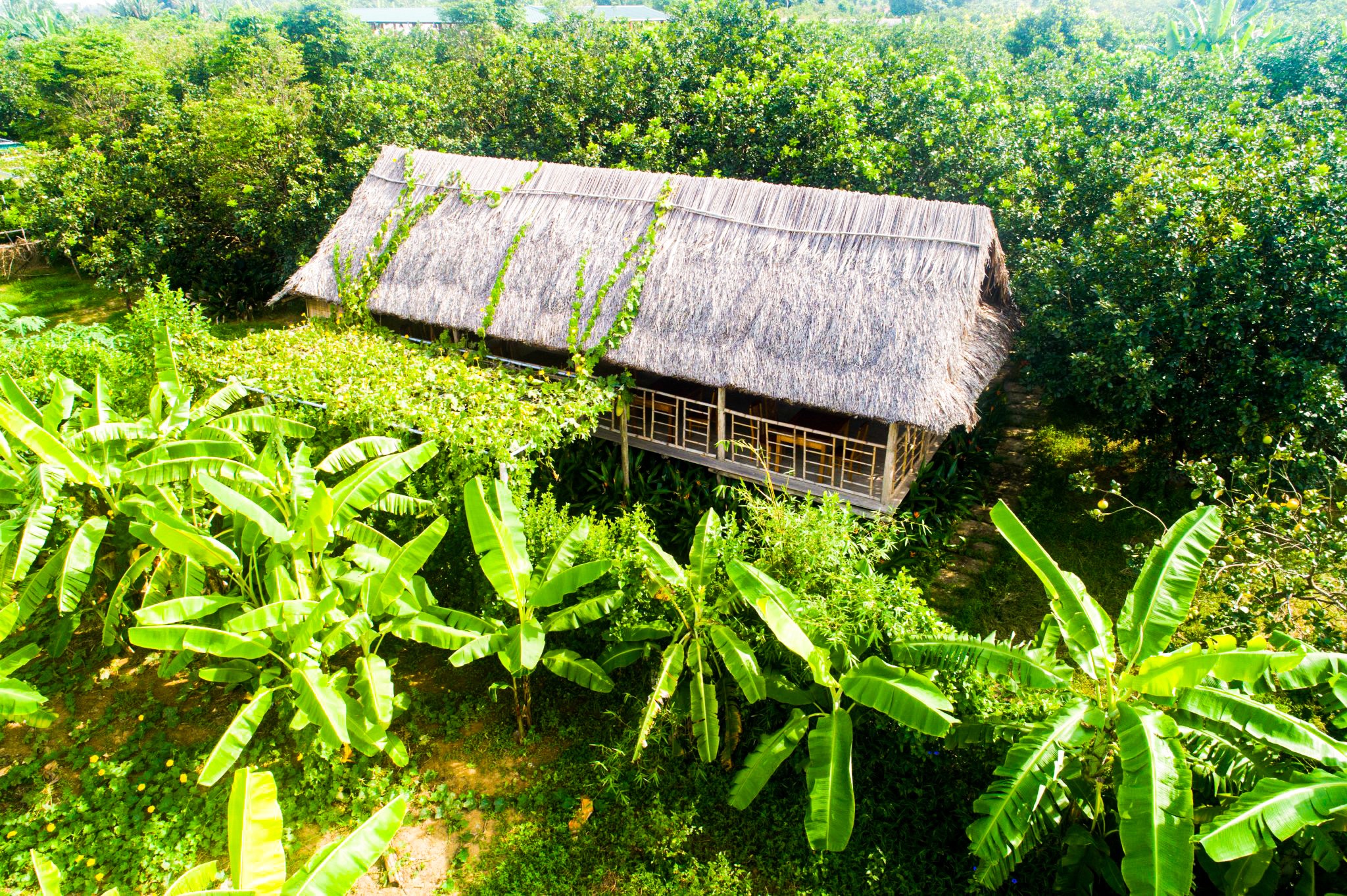 so sánh Homestay với Nhà nghỉ ở Huế